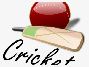 Cricket Ball Clipart Indian Cricket - Cricket Png #2446249
