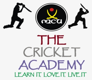Indian Cricket Logo Png #2446471