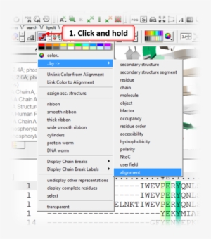 Propagate The Alignment Coloring To The 3d Structure - User Guide #2446846