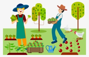 19 Farming Png Royalty Free Library Vegetable Farm - Agriculture Farming Clipart #2449562