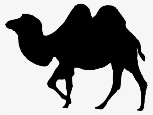 Silhouette, Desert, Camell Isolated, Camel Vector - Round Batman Logo Png #2449787