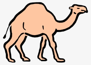 Vector Illustration Of Cartoon Dromedary Beast Of Burden - Camelos Png Desenho #2449814