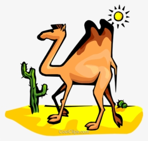 Camel Royalty Free Vector Clip Art Illustration - Adaptive Features Of Camel #2449925