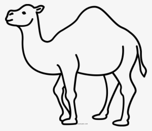 Drawing Camels Coloring - Dibujo De Ganado Camelido #2450260