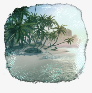 Coconut Beach - Attalea Speciosa #2450539