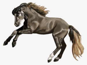 Bolero - Stallion #2450623