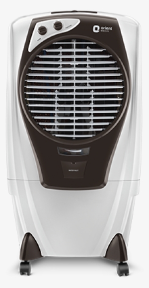 Orient Cooler #2450677