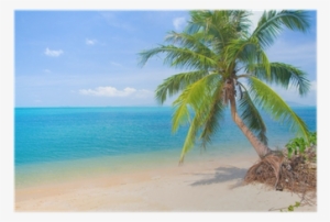 Crescent Shores - (import Cd) #2450867