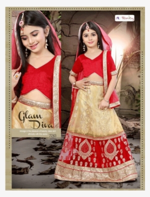 Red & Beige Color Net Party Wear Lehenga - Choli #2450935