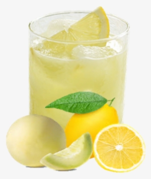 Honey Dew Donuts #2451174