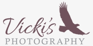 Vicki's Photography Calgary - Vicky Photography Logo Png #2451267