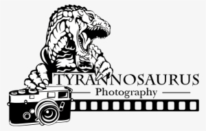 Conservative, Bold, Camera Logo Design For A Company - Illustration #2451675