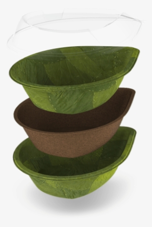 Leaf Republic I Am Like You Diffe - Leaf Plate Biodegradable #2451762