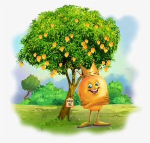 Why Hafoos Mango - Png Mango Clipart Cartoon Mango Tree #2451906