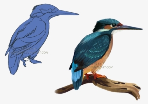 Kingfisher By Altarior On Picture Royalty Free Download - Kingfisher #2452027