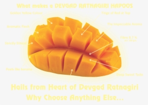 Nutritional Values Devgad Ratnagiri Alphonso Mangoes - Saltnic Tropical Mango #2452087