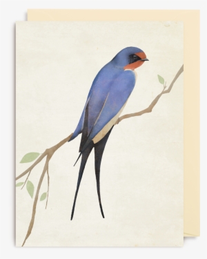 Mini Cooper #2452193