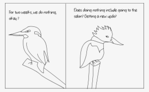 Kingfishers - Duck #2452249