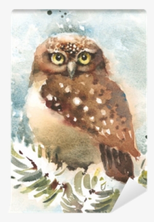 Watercolor Bird Winter Owl Nature Wildlife Hand Drawn - Watercolor Painting #2452299