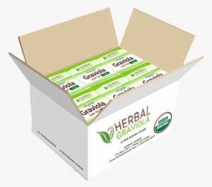 Qty Case Organic Graviola Leaf Tea 6 Boxes #2452321 Qty Case Organic Graviola Leaf Tea 6 Boxes #2452321