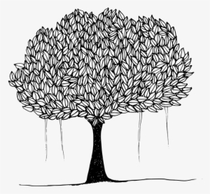 Black And White Picture Of Banyan Tree - Peepal Tree Clipart Black And White #2452372