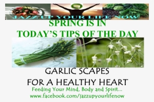 Pirate Party Invitation Card #2452387