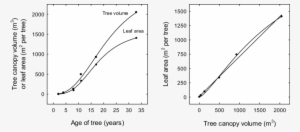 Changes In Leaf Area And Tree Canopy Volume In 'palmer' - Plot #2452409