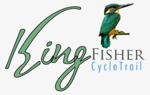 Discover - - Cycling #2452430