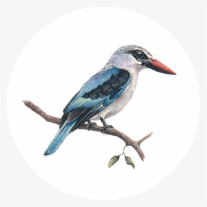 Woodlands Kingfisher - Architecture #2452468