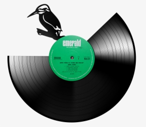 Kingfisher V=1530833816 - Seabird #2452703