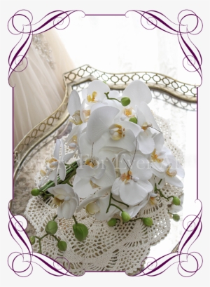 Contemporary Simple Falling Phalaenopsis Orchid Cascading - Flower #2453373