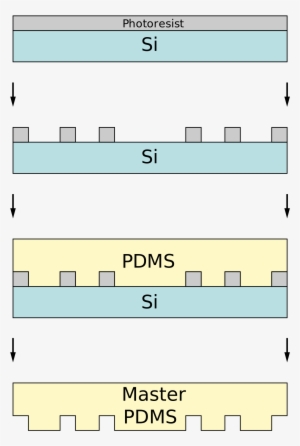 Micro Contact Printing Lithography #2454205