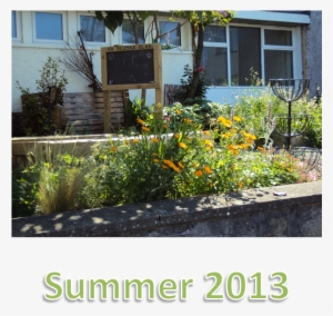 Garden Background Information - Flower Garden Backgrounds Png #2454261