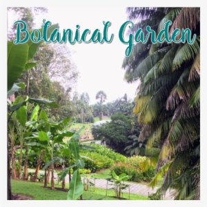 Go To Image - Botanical Garden #2454619