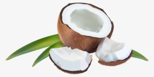 Coconut Transparent #2454953