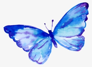 Flying Butterfly Cartoon Transparent - Flying Butterfly Cartoon #2455251
