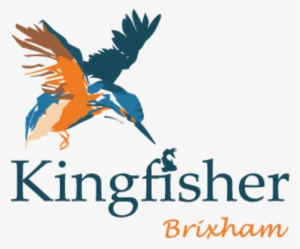 Kingfisher Brixham #2455350