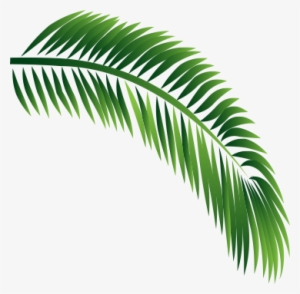 Decorative Leaf - Babassu #2455810