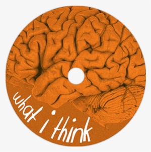 Cd Design - Central Sulcus Real Brain #2456474