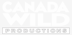 Splashing Into The New Year With Best Wishes To You #2457094