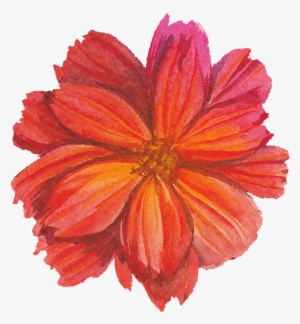 Red Flower Watercolor Transparent Flower - Flower #2457097