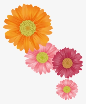 Fresh Orange Hand Painted Chrysanthemum Decorative - Daisy Flower Vector Psd #2457118