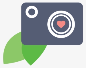 Logo Design For Dillon Phantharangsy Photography #2457973