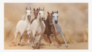 Union Rustic 'running Horses (style 2)' Graphic Art #2459642