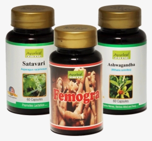 Previous - Next - Ashwagandha Plant #2460005