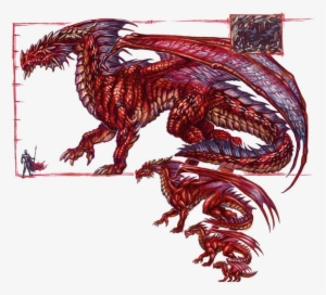 Reds - Red Dragon Anatomy #2460077