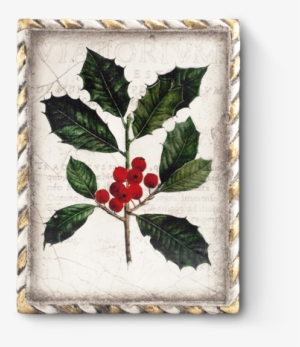 Winterberry No Image Available - Holly #2460596