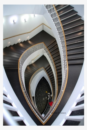 Museum Of Contemporary Art, Chicago #2460973