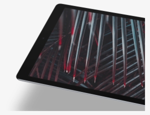 Diversity - Tablet Computer #2462003