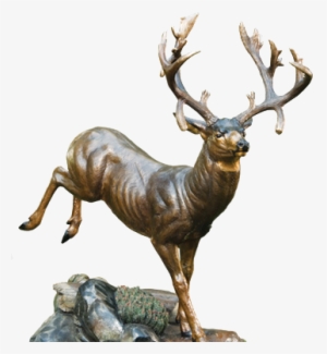 Record Mule Deer #2462007